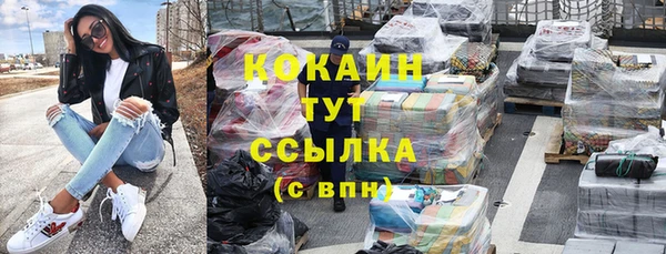 дживик Аркадак