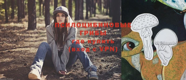 соль курить ск Арсеньев