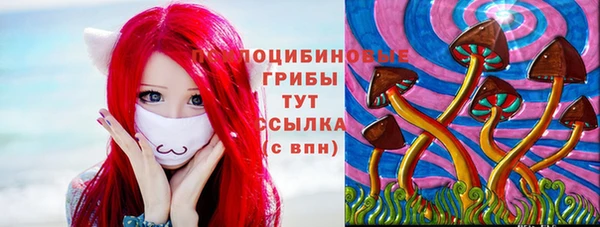 соль курить ск Арсеньев